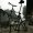Beijing : Tall Bike