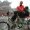 Beijing : Tricycling near Lama Temple