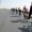Beijing : The Beijing Peloton