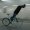 Beijing : Skidding on a Fixie