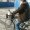 Beijing : Cycling with Dogs in Basket