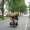 Beijing : Broom Vendor