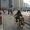 Shanghai : Kid Seat
